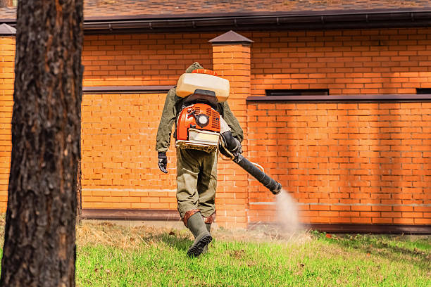 Bed Bug Clearance Verification and Documentation in Agua Dulce